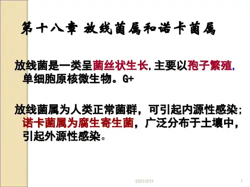 第17-20章放线菌、支原体、立克次体、衣原体概要