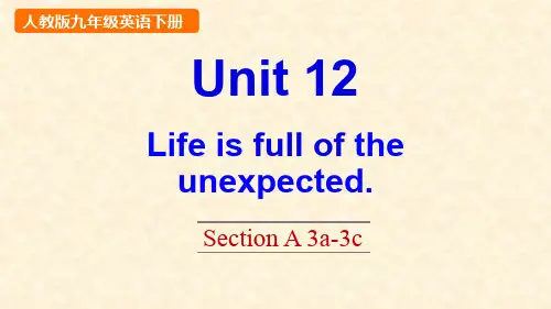 Unit 12 Life is full of the unexpected Section A 3a-3c课件