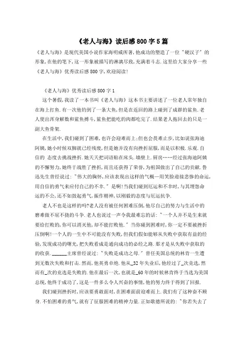 《老人与海》读后感800字5篇