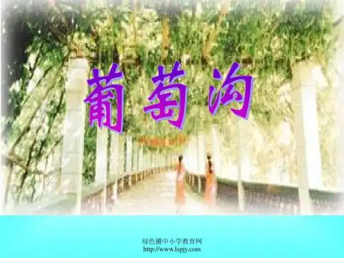 人教版二年级语文下册《葡萄沟》课件PPT