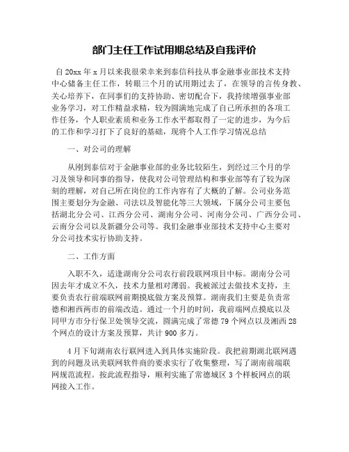 部门主任工作试用期总结及自我评价