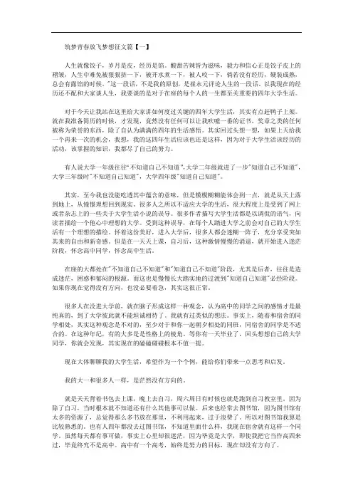 最新筑梦青春放飞梦想征文