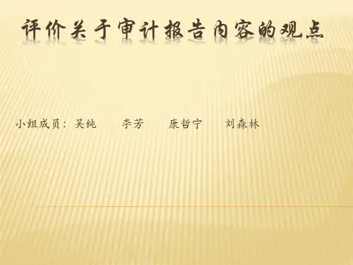 评价关于审计报告内容的观点