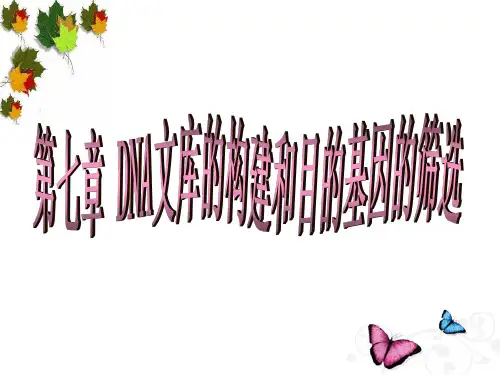7.DNA 文库的构建