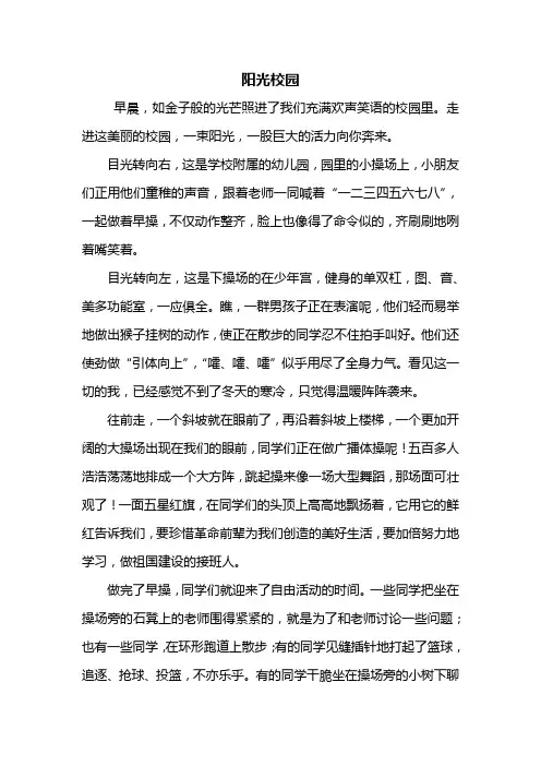 六年级作文：阳光校园作文800字