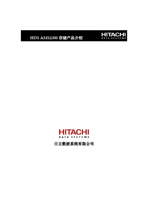HDS AMS 2300产品介绍