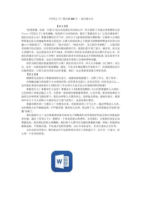 《穹顶之下》观后感400字 - 读后感大全