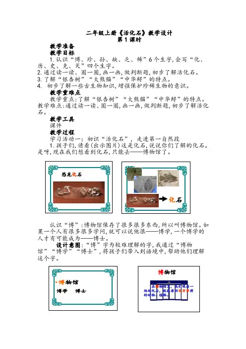 二年级上册《活化石》教学设计