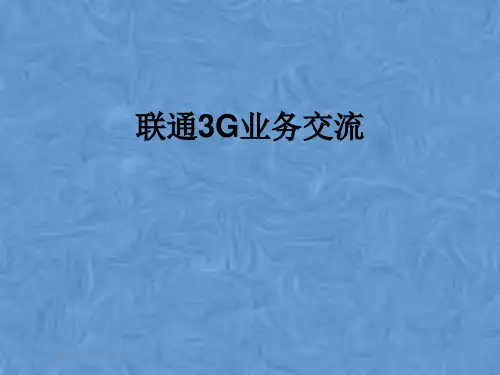 联通3G业务交流