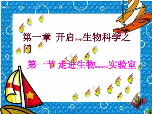 七年级生物上册 第一章 第一节 走进生物实验室课件