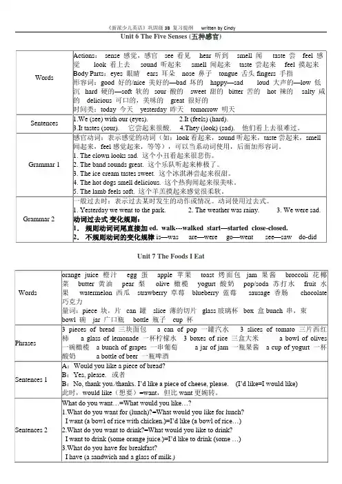 朗文新派少儿英语巩固级3B知识点