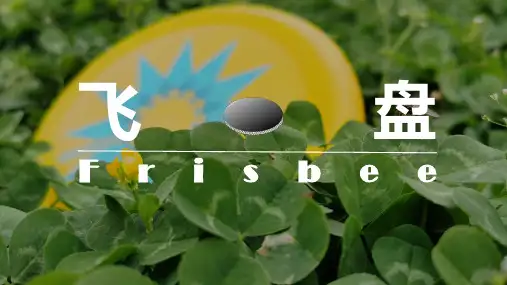 飞盘团建