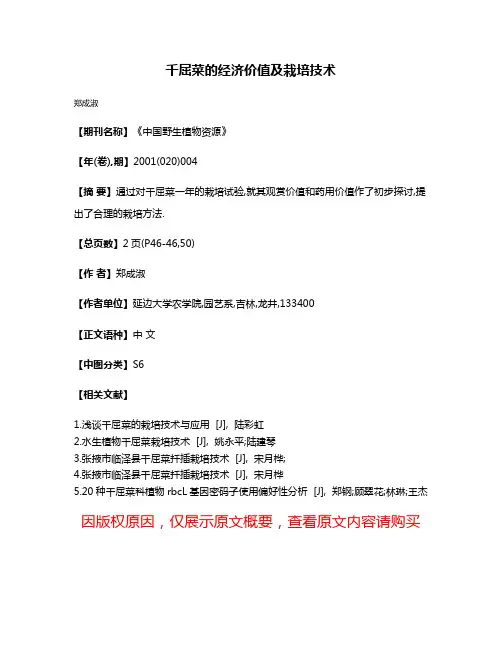 千屈菜的经济价值及栽培技术