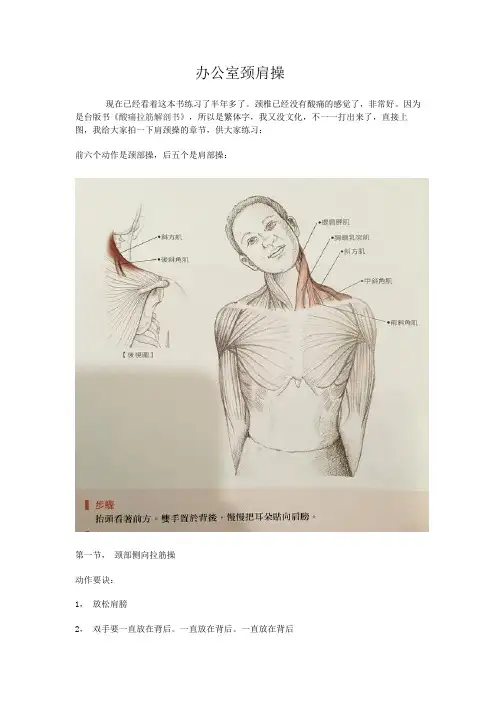 办公室颈肩操