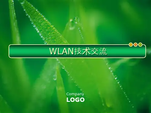 林长庆-WLAN介绍