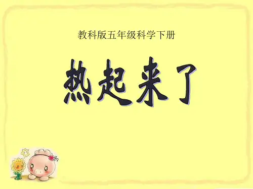 教科版五年级科学下册热起来了