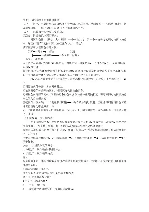 精子的形成过程即减数分裂和受精作用