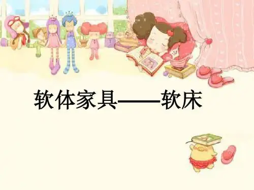 软床培训PPT