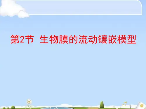 人教生物必修1第4章第2节 生物膜的流动镶嵌模型(共17张PPT)