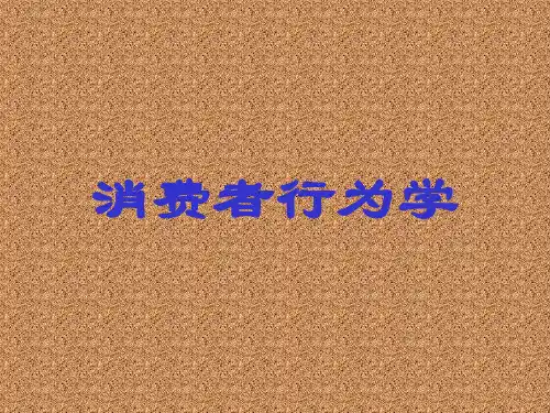 消费者行为学全套精品课件