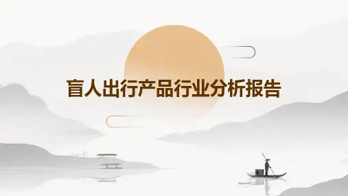盲人出行产品行业分析报告