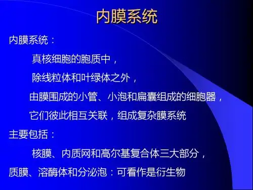 细胞生物学3内质网和核糖体-PPT课件