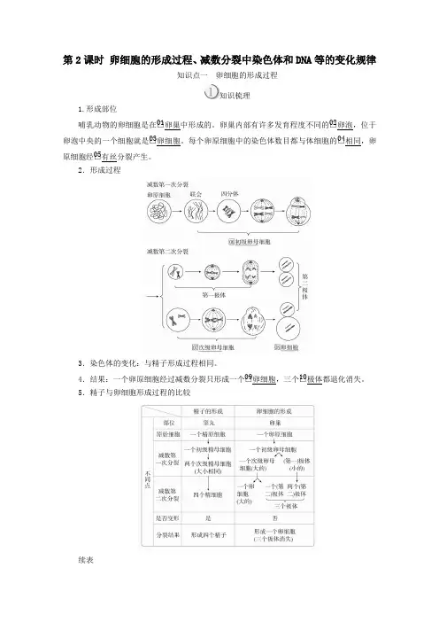 2020高中生物第2章第1节第2课时卵细胞的形成过程、减数分裂中染色体和DNA等的变化规律教案人教版必修2