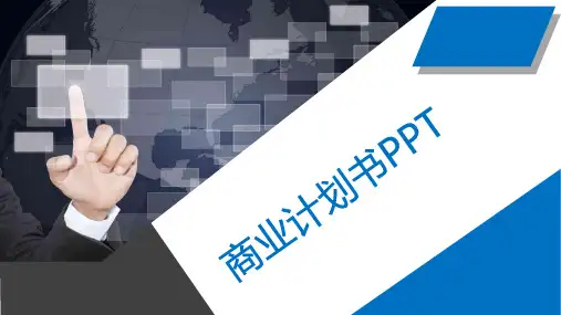 外贸公司商业策划书PPT