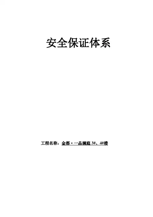 工程施工安保体系 2