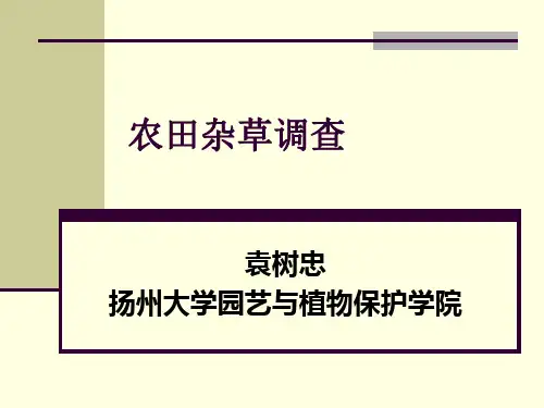农田杂草调查专题讲座