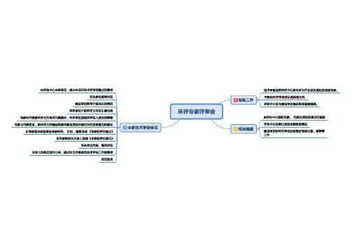 环评专家评审会工作流程