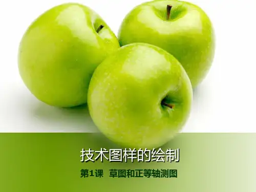 技术图样的绘制--正等轴测图和草图