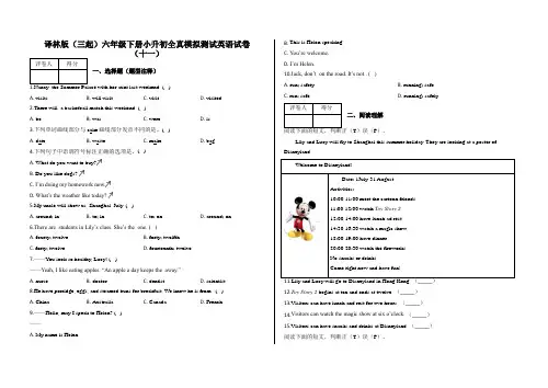 译林版(三起)小升初英语试题-全真模拟测试    含答案