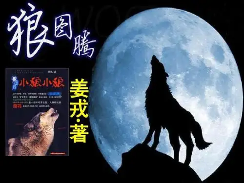 小狼小狼
