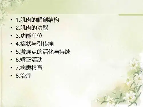 常见肌筋膜疼痛斜方肌旋后肌