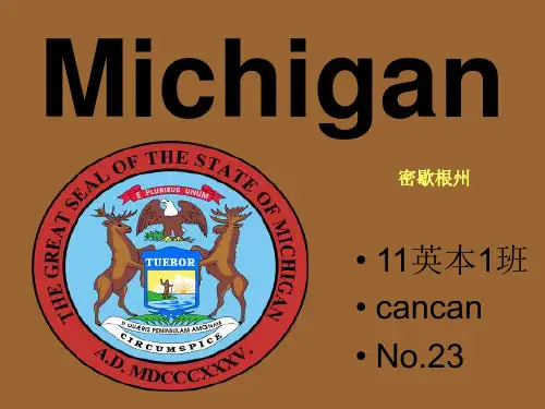 michigan 美国密歇根州 简介
