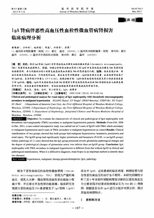 IgA肾病伴恶性高血压性血栓性微血管病肾损害临床病理分析