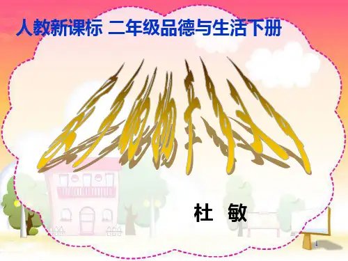 52人教新课标品德与生活二年级下册《家乡的物产多又多》PPT课件