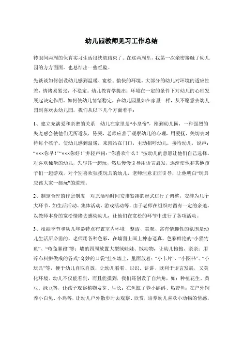 幼儿园教师见习工作总结