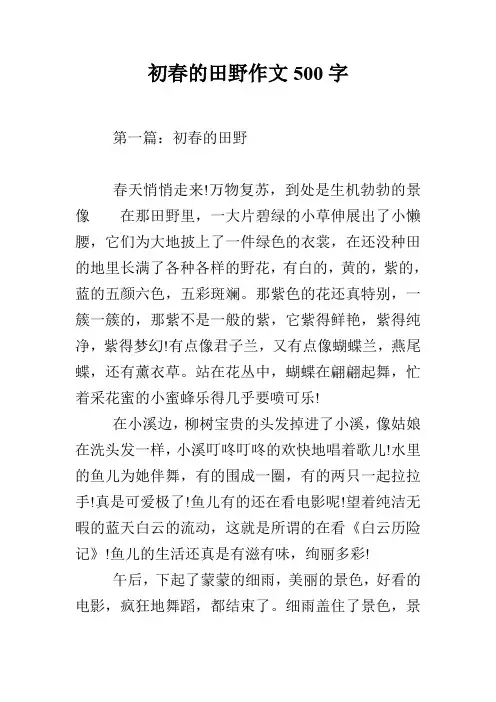 初春的田野作文500字