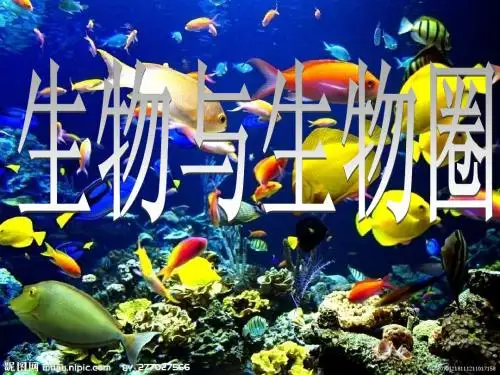 生物和生物圈ppt