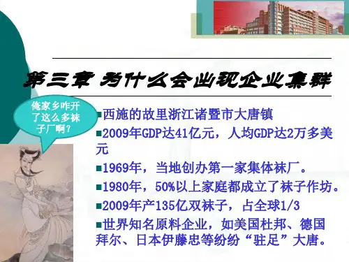 第三章 为什么会出现企业集群