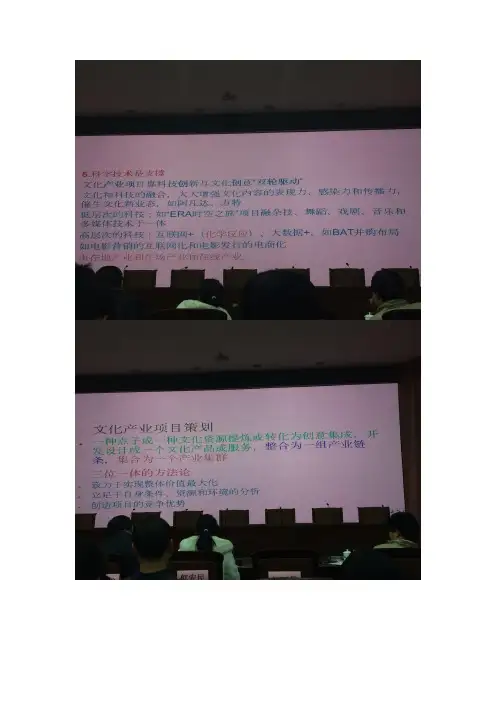 文化产业项目策划与商业模式创新