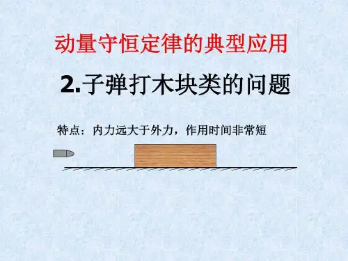 子弹打木块模型共53页文档