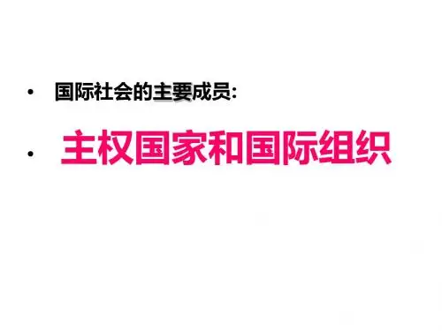 国际社会的主要成员：主权国家和国际组织