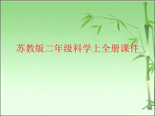 苏教版二年级科学上全册课件(附目录)