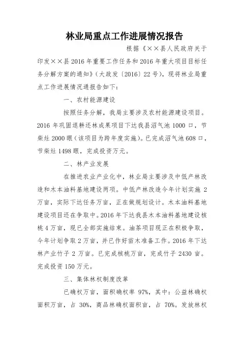 林业局重点工作进展情况报告