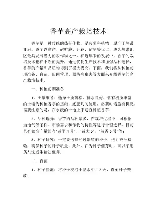 香芋高产栽培技术