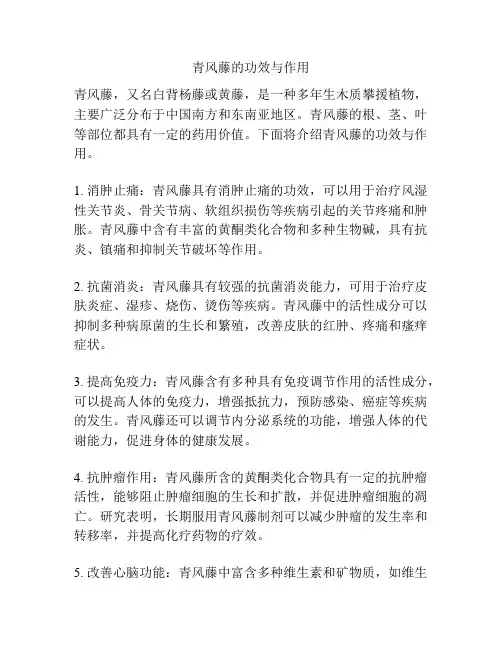 青风藤的功效与作用