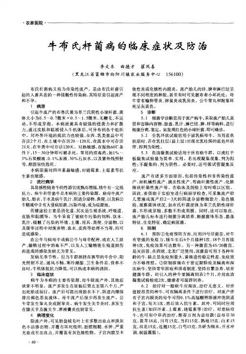 牛布氏杆菌病的临床症状及防治